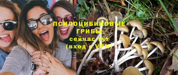дживик Балахна