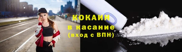 прущие грибы Баксан