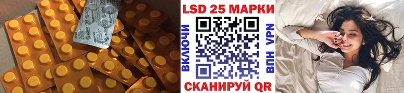 где купить наркоту  Кодинск  LSD-25 экстази кислота 